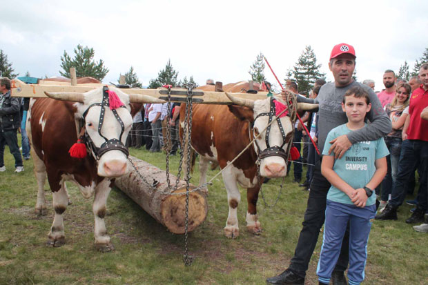 Најбољи рабаџија из Кућана